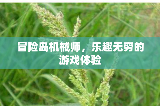 乐趣无穷的游戏体验图片