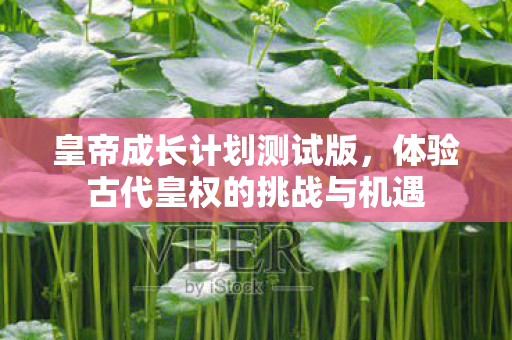 体验古代皇权的挑战与机遇图片