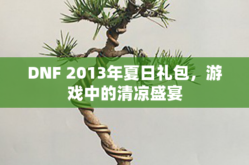 DNF 2013年夏日礼包图片