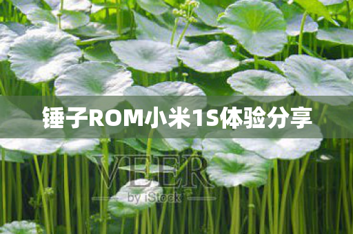 锤子ROM小米1S体验分享图片