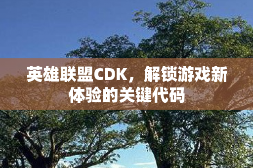 解锁游戏新体验的关键代码图片