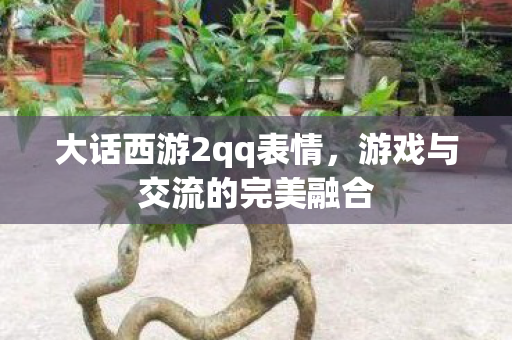 游戏与交流的完美融合图片