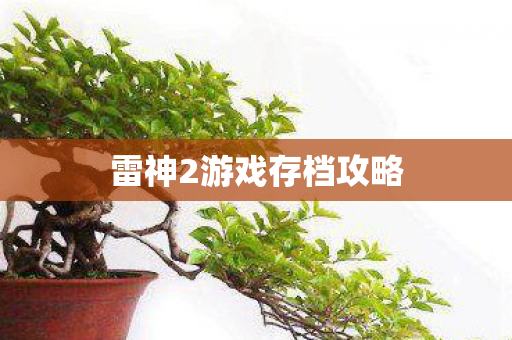 雷神2游戏存档攻略图片