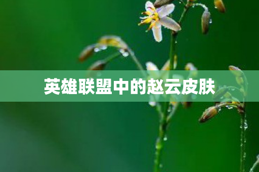 英雄联盟中的赵云皮肤图片