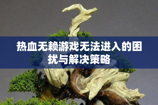 热血无赖游戏无法进入的困扰与解决策略图片
