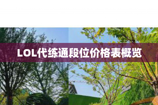 LOL代练通段位价格表概览图片