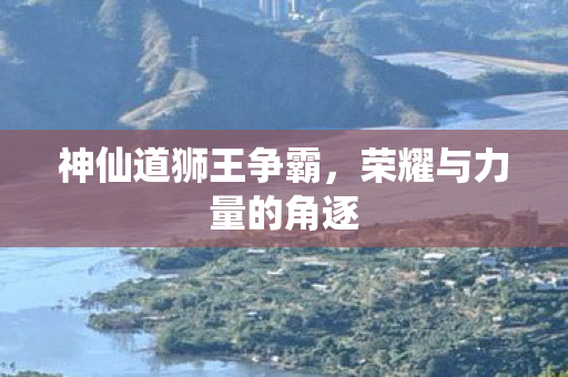 荣耀与力量的角逐图片