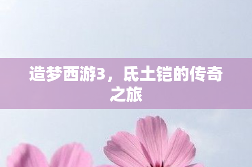 氐土铠的传奇之旅图片
