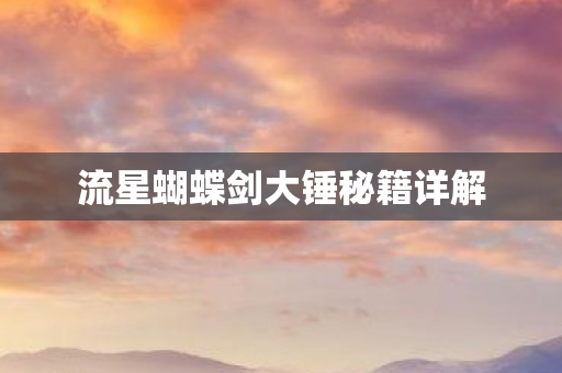流星蝴蝶剑大锤秘籍详解图片
