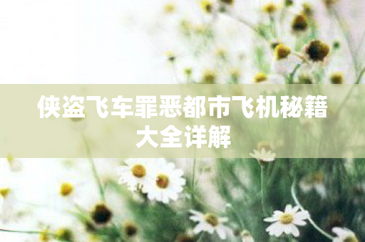 侠盗飞车罪恶都市飞机秘籍大全详解图片