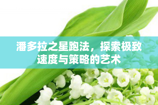 探索极致速度与策略的艺术图片