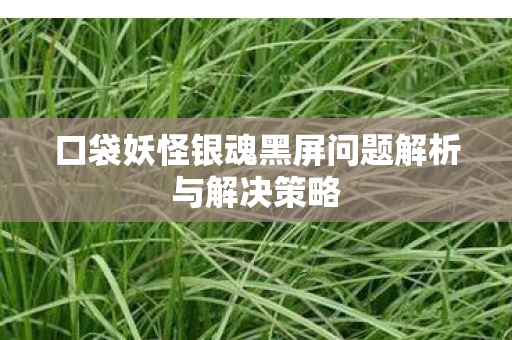 口袋妖怪银魂黑屏问题解析与解决策略图片