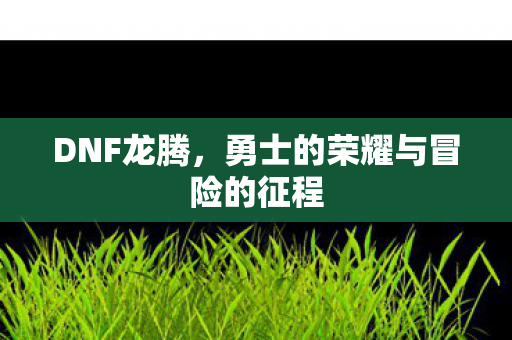 勇士的荣耀与冒险的征程图片