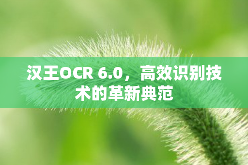 高效识别技术的革新典范图片