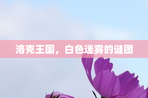 白色迷雾的谜团图片