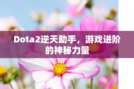 Dota2逆天助手图片