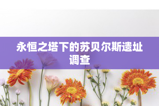 永恒之塔下的苏贝尔斯遗址调查图片