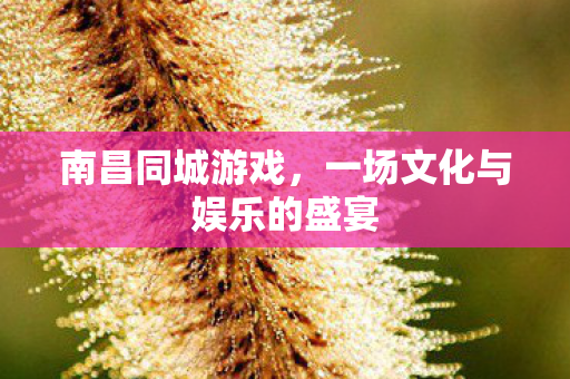 一场文化与娱乐的盛宴图片