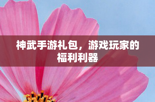 游戏玩家的福利利器图片