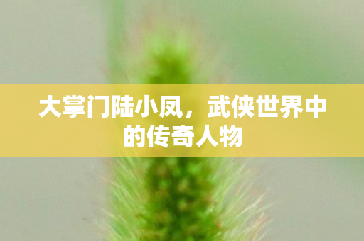 武侠世界中的传奇人物图片