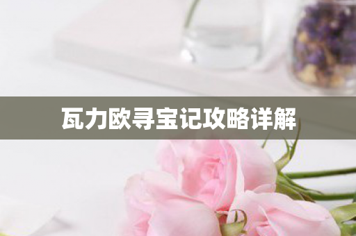 瓦力欧寻宝记攻略详解图片