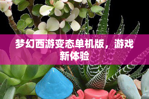 梦幻西游变态单机版图片