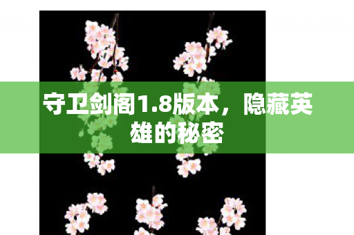 隐藏英雄的秘密图片