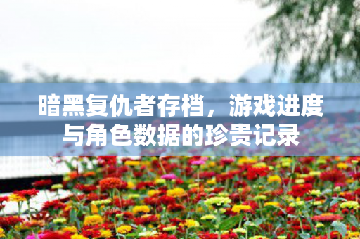游戏进度与角色数据的珍贵记录图片
