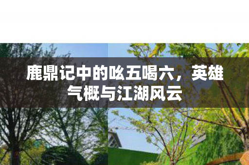 鹿鼎记中的吆五喝六图片
