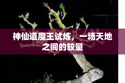 一场天地之间的较量图片