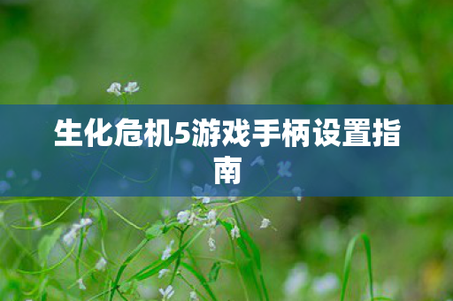 生化危机5游戏手柄设置指南图片