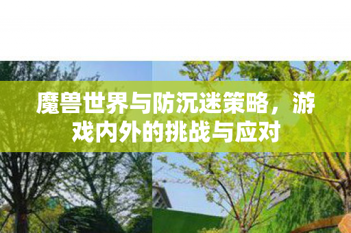 魔兽世界与防沉迷策略图片
