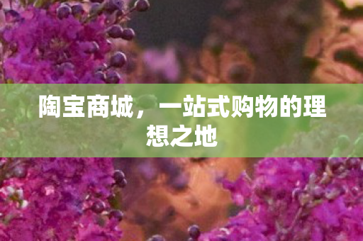 一站式购物的理想之地图片