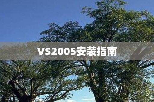 VS2005安装指南图片