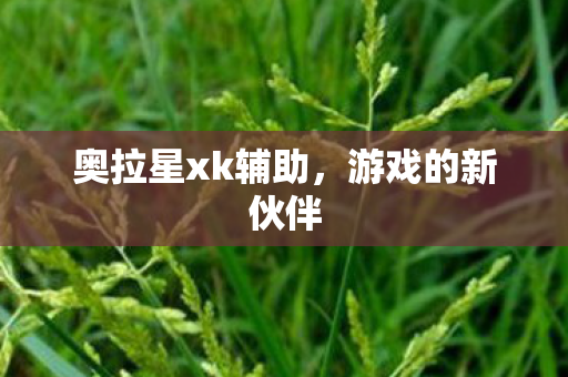 奥拉星xk辅助图片