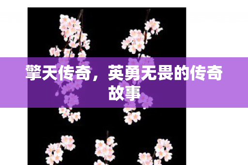 英勇无畏的传奇故事图片