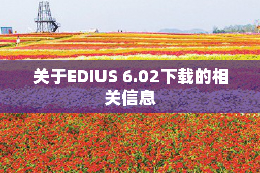 关于EDIUS 6图片
