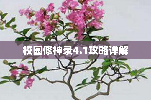 校园修神录4图片