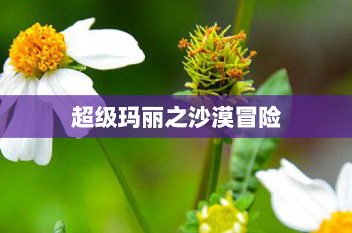 超级玛丽之沙漠冒险图片