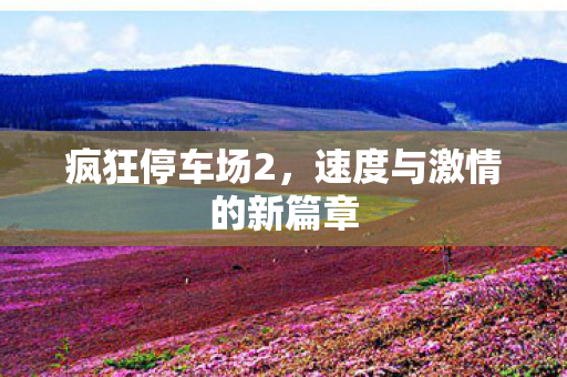 速度与激情的新篇章图片