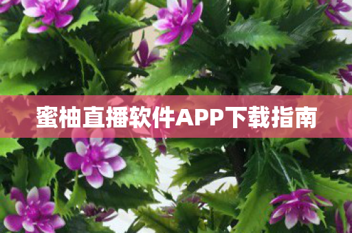 蜜柚直播软件APP下载指南图片