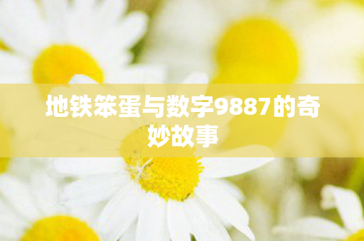 地铁笨蛋与数字9887的奇妙故事图片