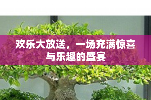 一场充满惊喜与乐趣的盛宴图片