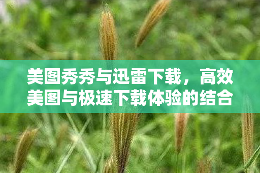 高效美图与极速下载体验的结合图片