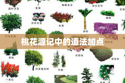 桃花源记中的道法加点图片