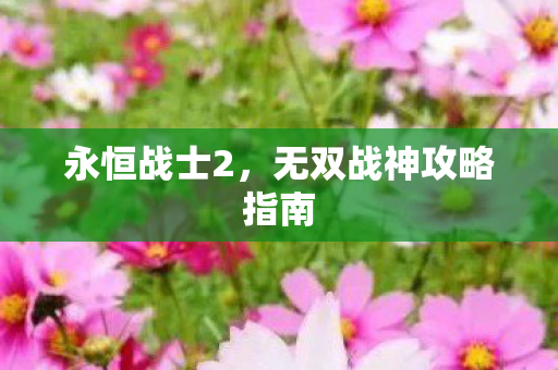 无双战神攻略指南图片