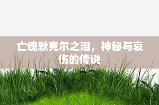 神秘与哀伤的传说图片