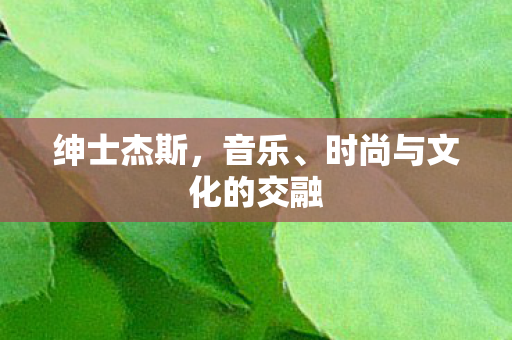 时尚与文化的交融图片