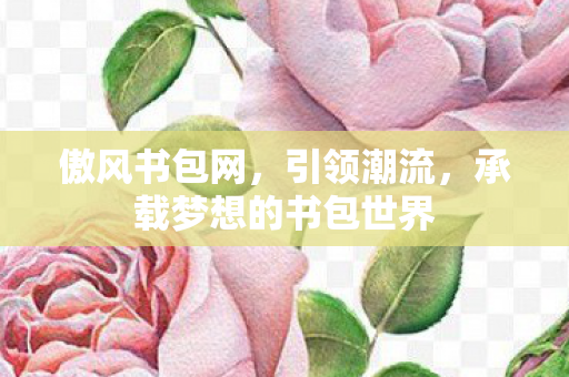 承载梦想的书包世界图片