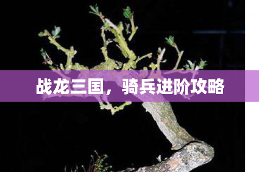 骑兵进阶攻略图片